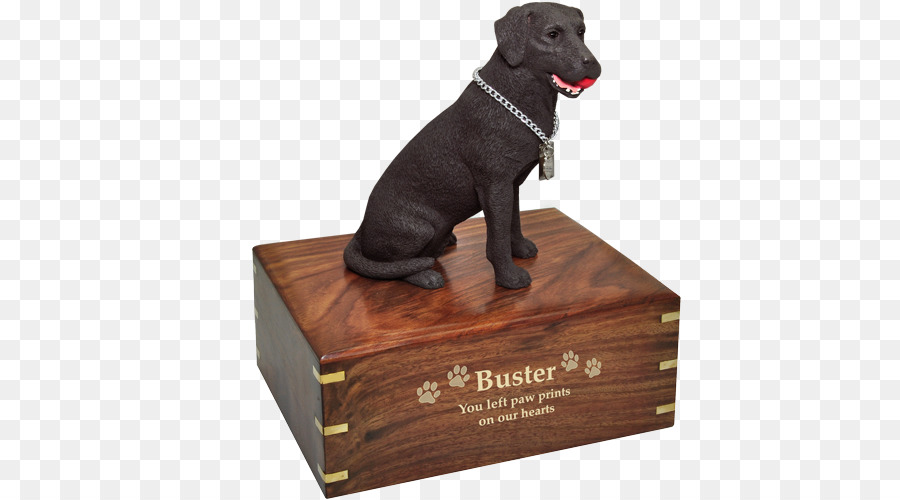 Labrador Retriever，Cachorro PNG