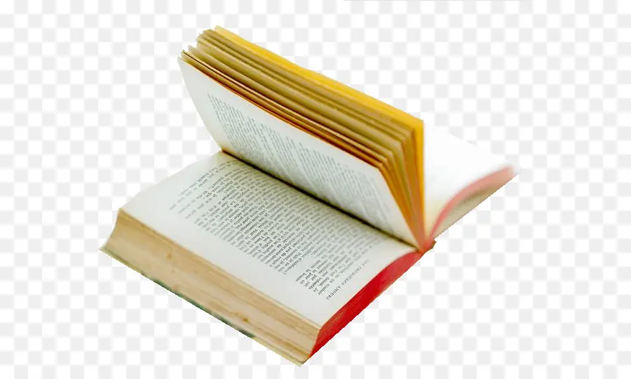 Libro，Bibliotecario PNG