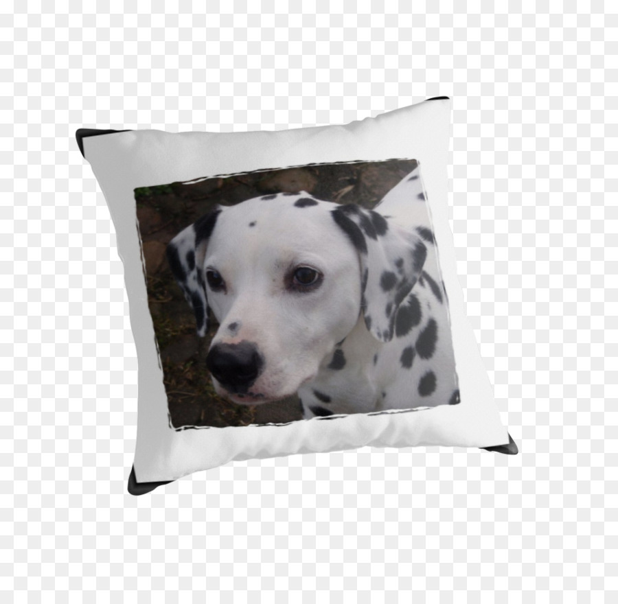 Perro Dálmata，Almohada PNG