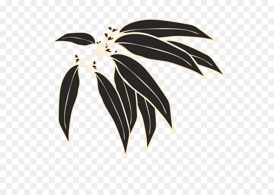 Hojas Marrones，Planta PNG