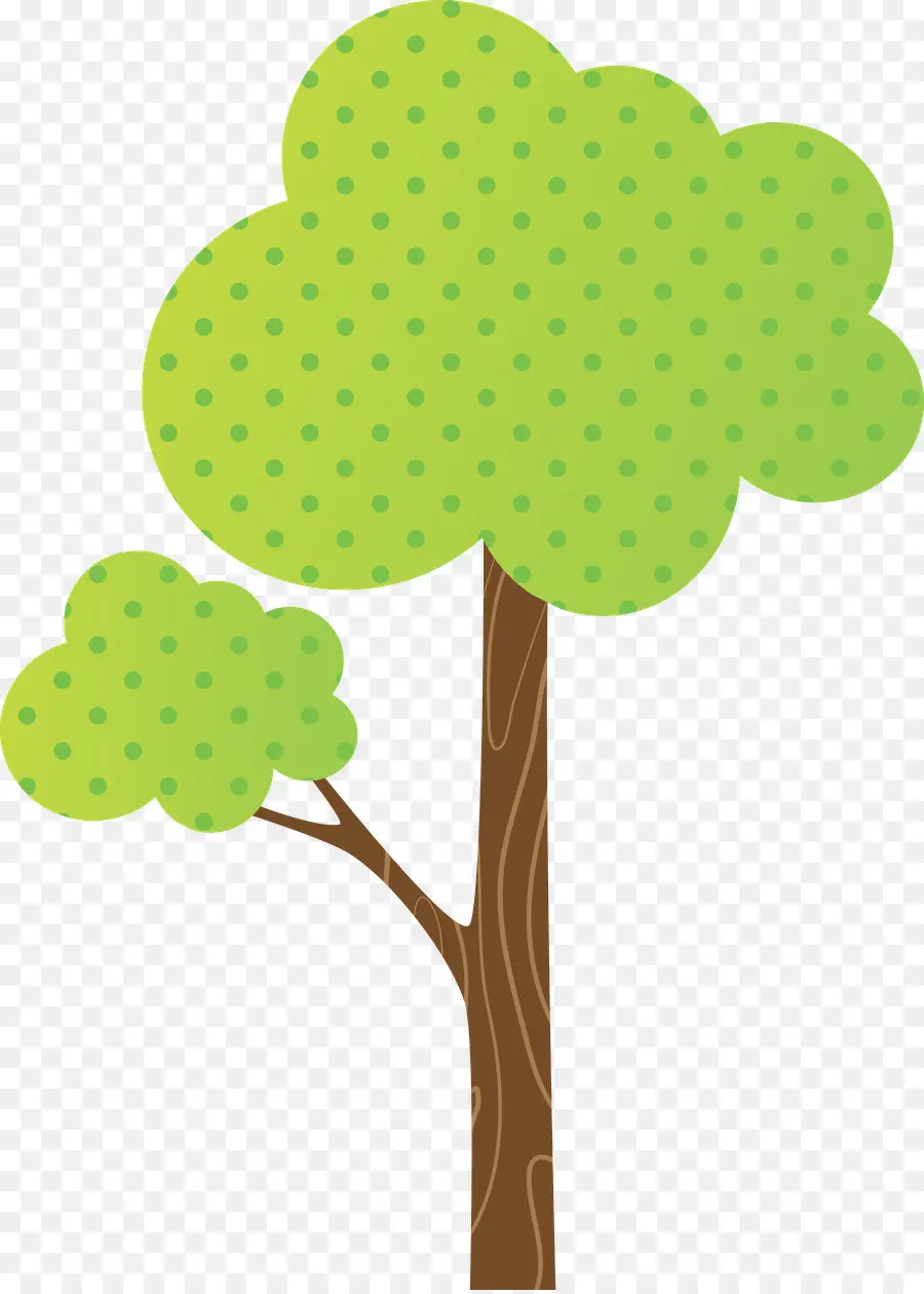 árbol，Planta PNG