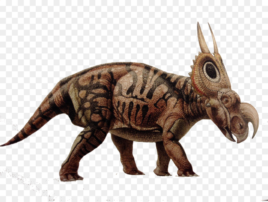 Tyrannosaurus，Diabloceratops PNG