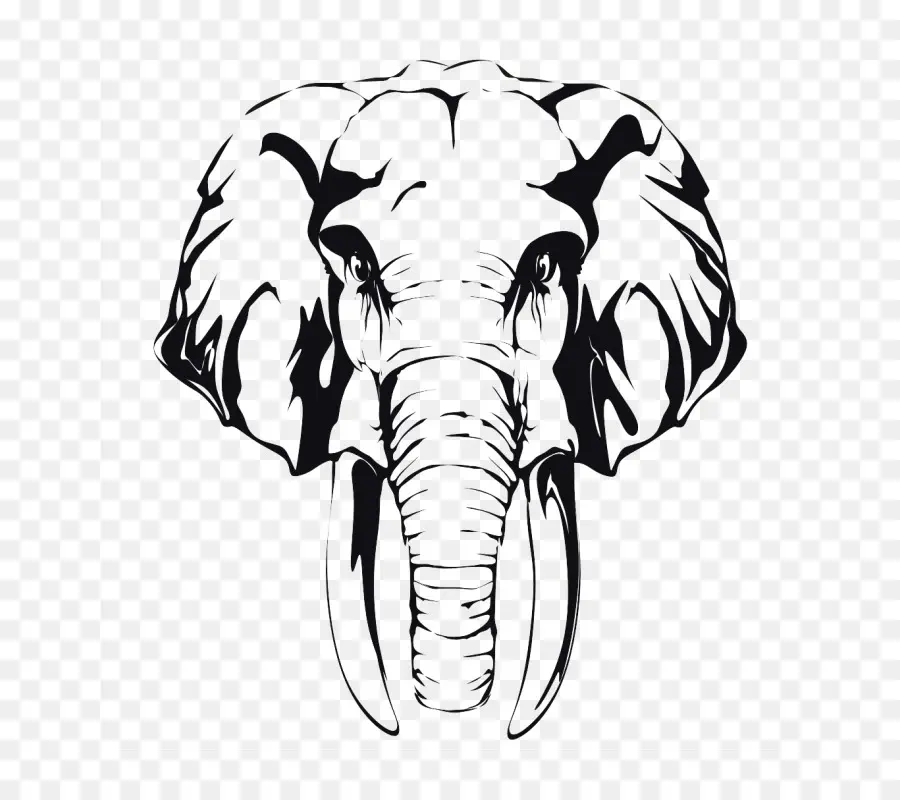 Elefante，Colmillos PNG