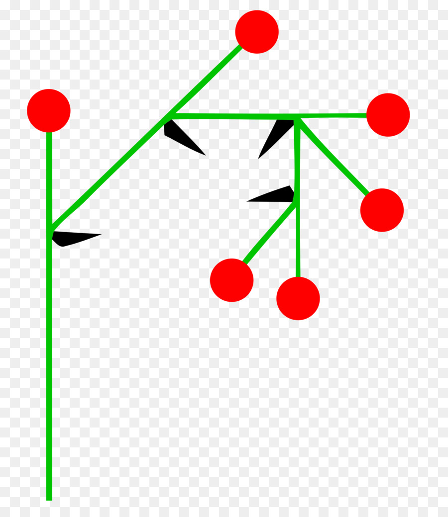 Inflorescencia，Cima PNG