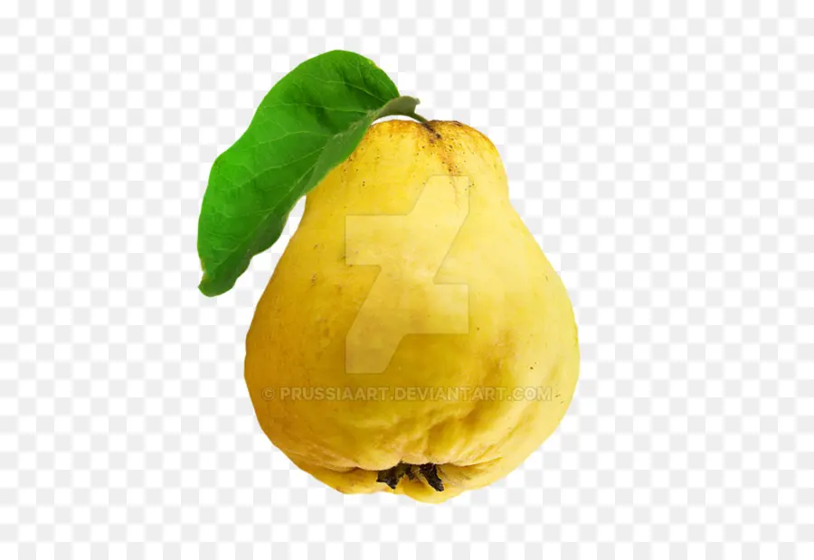 Membrillo，La Fruta De Membrillo PNG