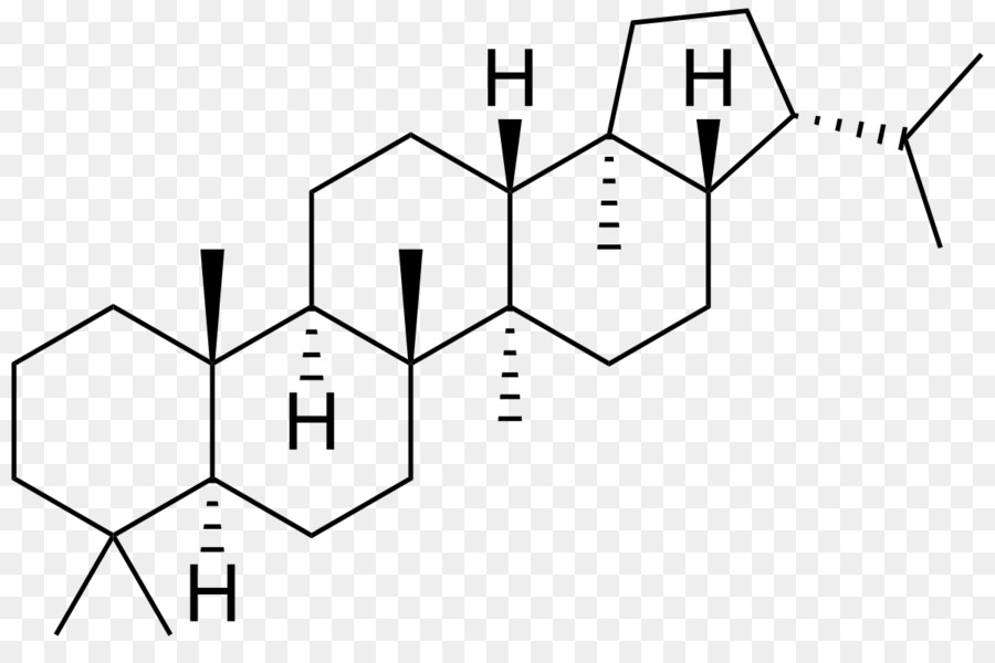 Terpeno，Triterpeno PNG