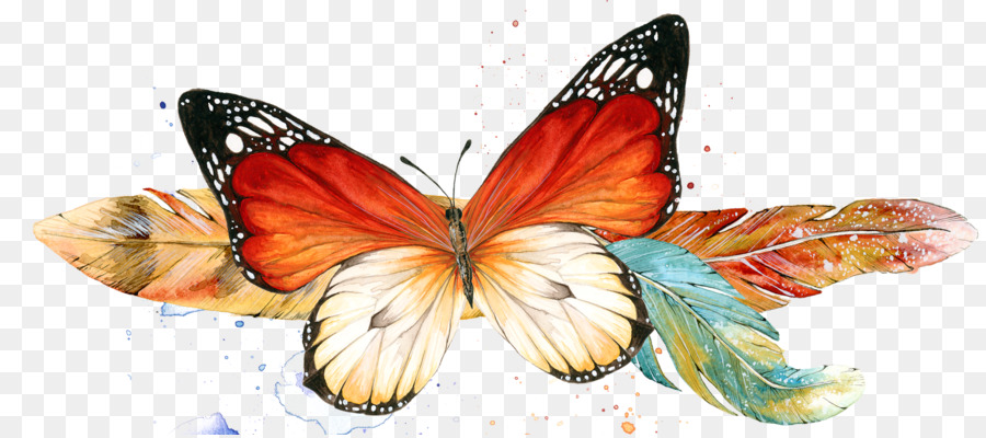 La Mariposa Monarca，La Polilla PNG