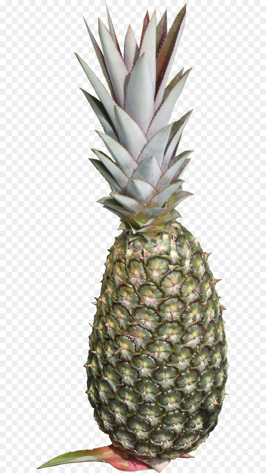 Piña，Fruta PNG