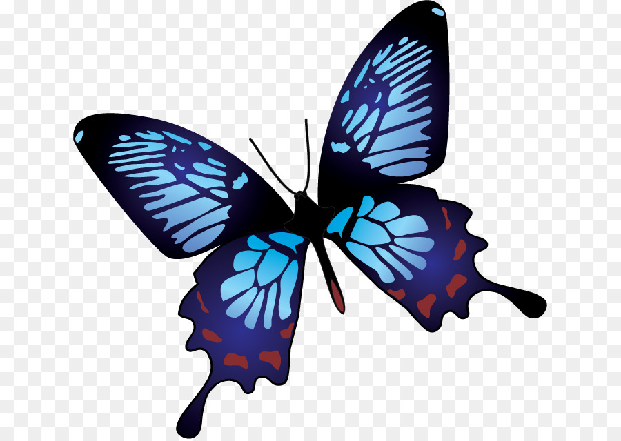 Las Mariposas Y Las Polillas，Postscript Encapsulado PNG