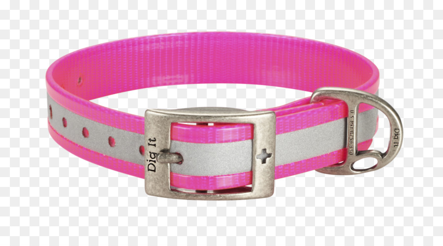 Collar，Perro PNG