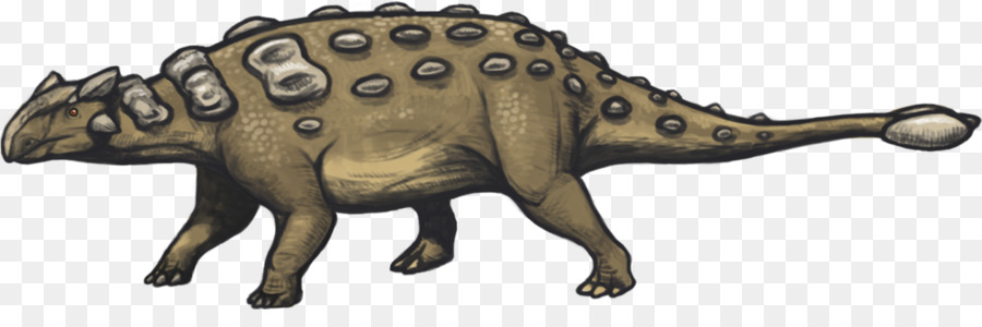 Ankylosaurus，Euoplocephalus PNG
