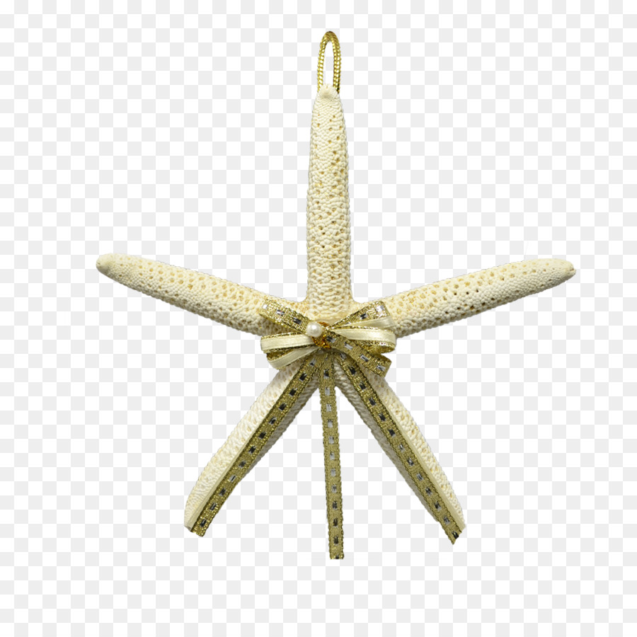 Estrella De Mar，La Navidad PNG