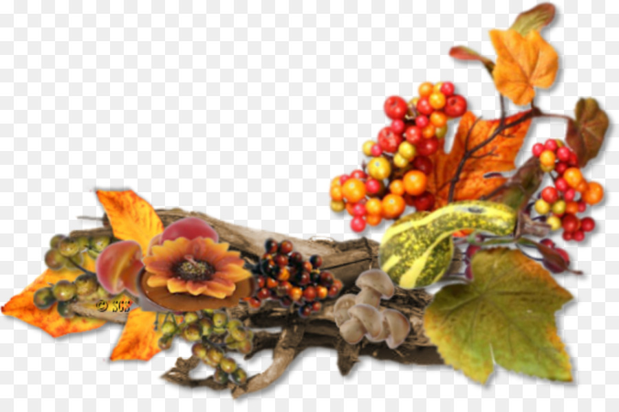 Otoño，Blog PNG