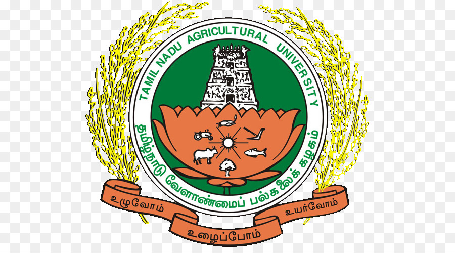 La Universidad De Agricultura Tamil Nadu，Escuela De Agricultura Y El Instituto De Investigación De Killikulam PNG