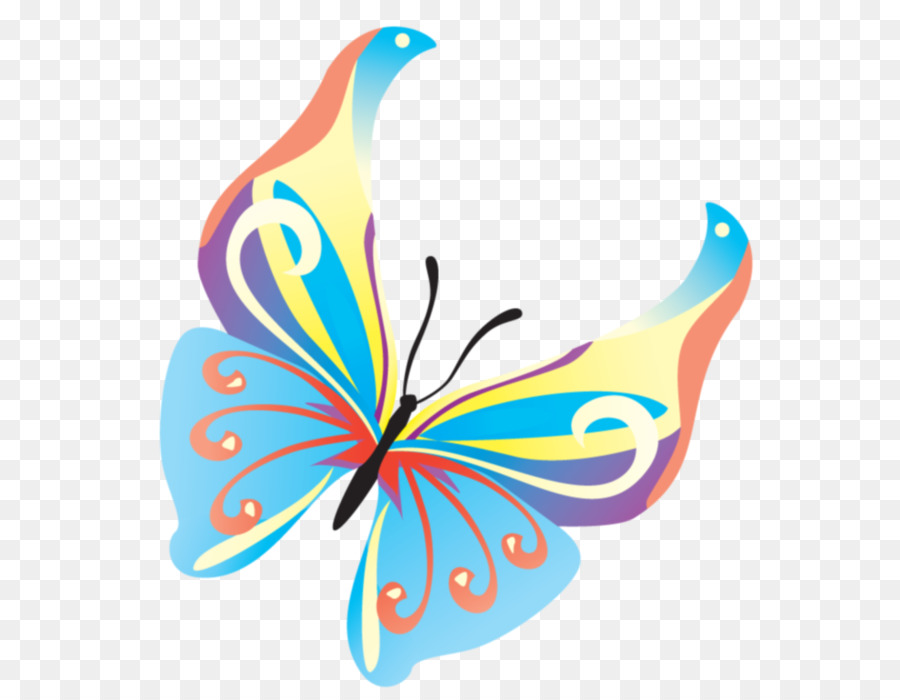 Mariposa，Fondo De Escritorio PNG