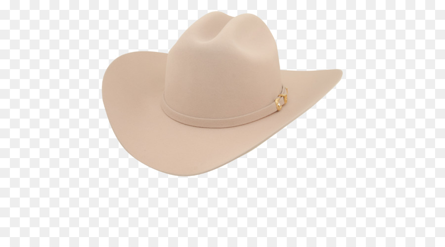 Stetson，Vaquero Ha PNG