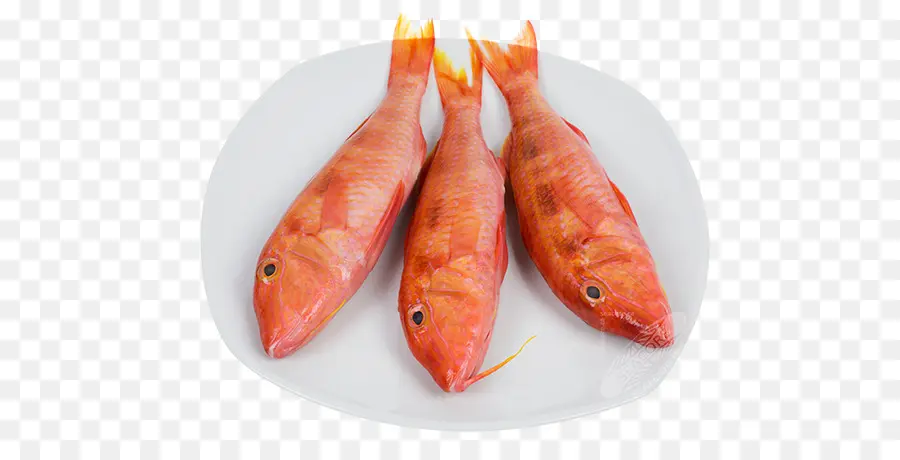 Los Peces，El Salmonete PNG