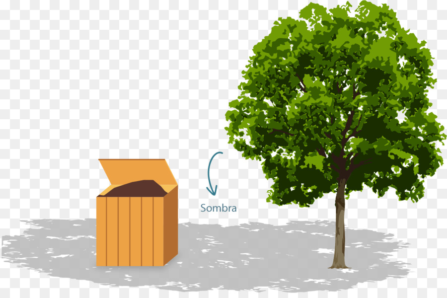 Rizoma，árbol PNG