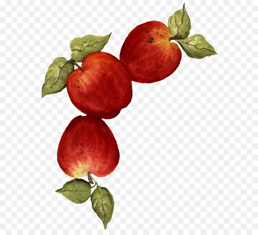 Apple，La Fruta PNG