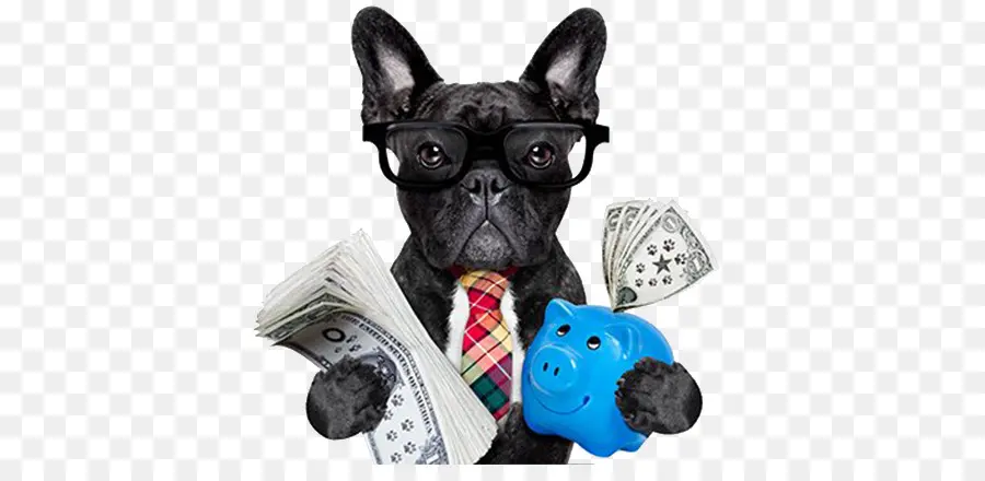 Perro Con Dinero Y Alcancía，Mascota PNG