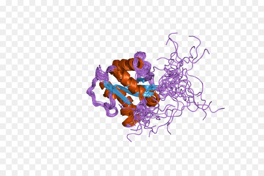 Receptor De Peaje，Receptor De Interleucina1 PNG