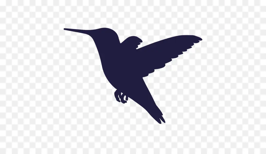 Colibrí，Silueta PNG