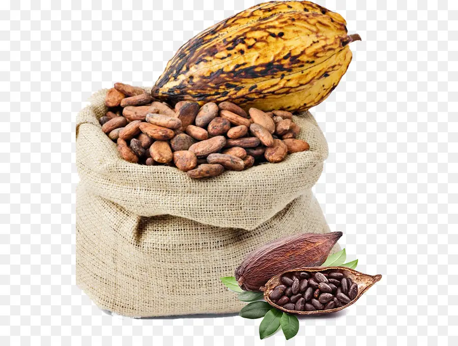 Granos De Cacao，Bolsa PNG