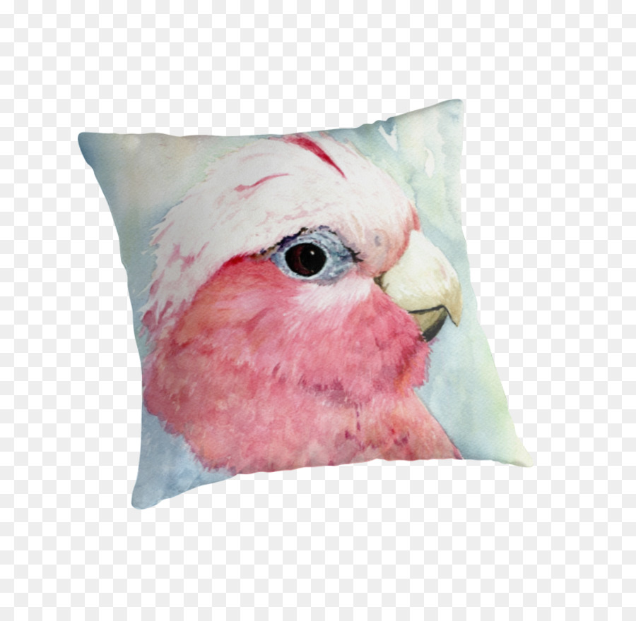 Almohadas，Almohada PNG