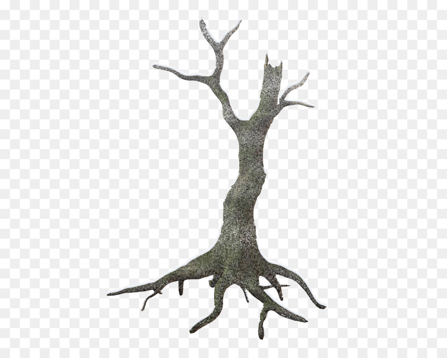 Tronco，árbol PNG