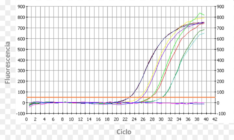 La Reacción En Cadena De La Polimerasa En Tiempo Real，Reacción En Cadena De Polimerasa PNG