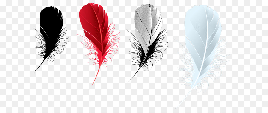 Pluma，Photofiltre PNG