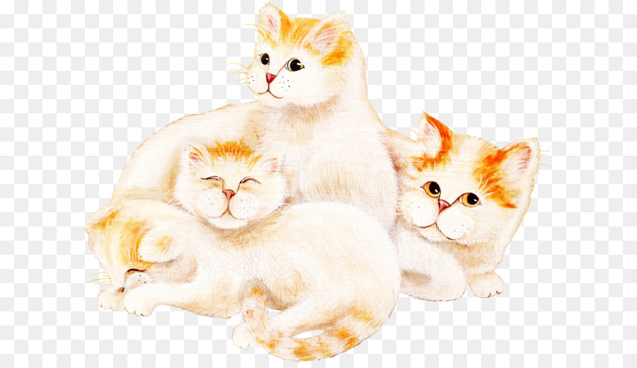 Gatito，Van Turco PNG