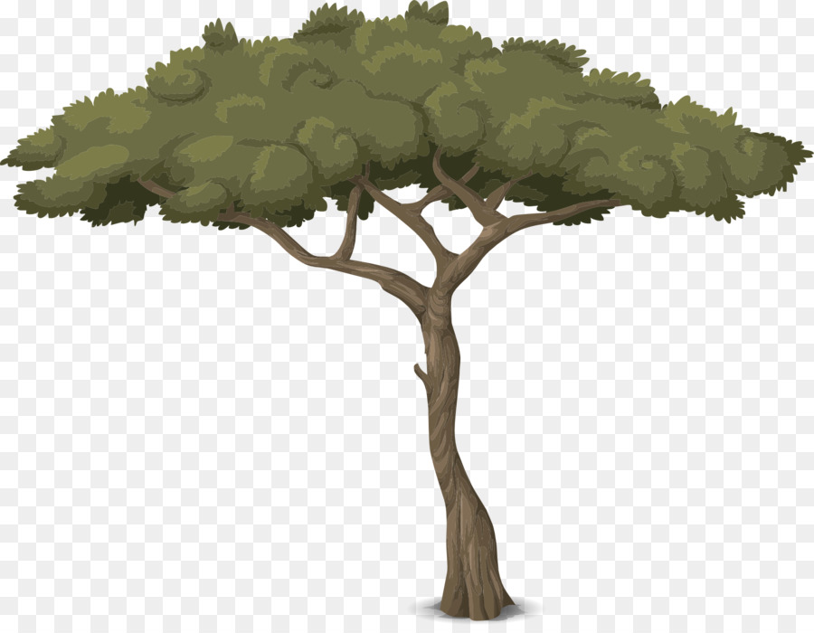 Árbol，Verde PNG