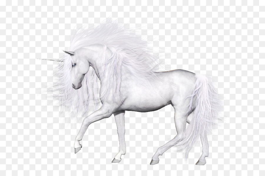 Unicornio，Caballo PNG