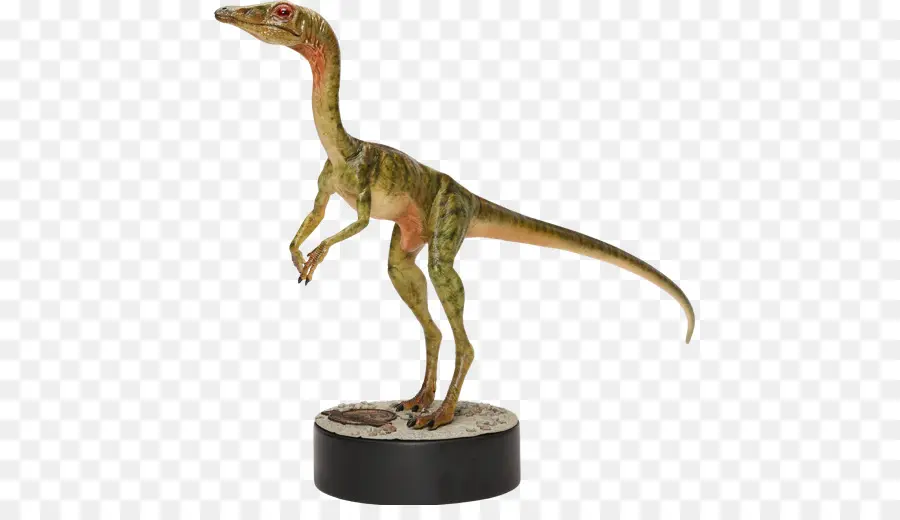 Compsognathus，Mundo Perdido PNG