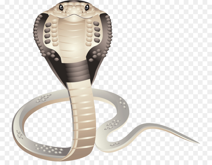 La Serpiente，Iconos De Equipo PNG