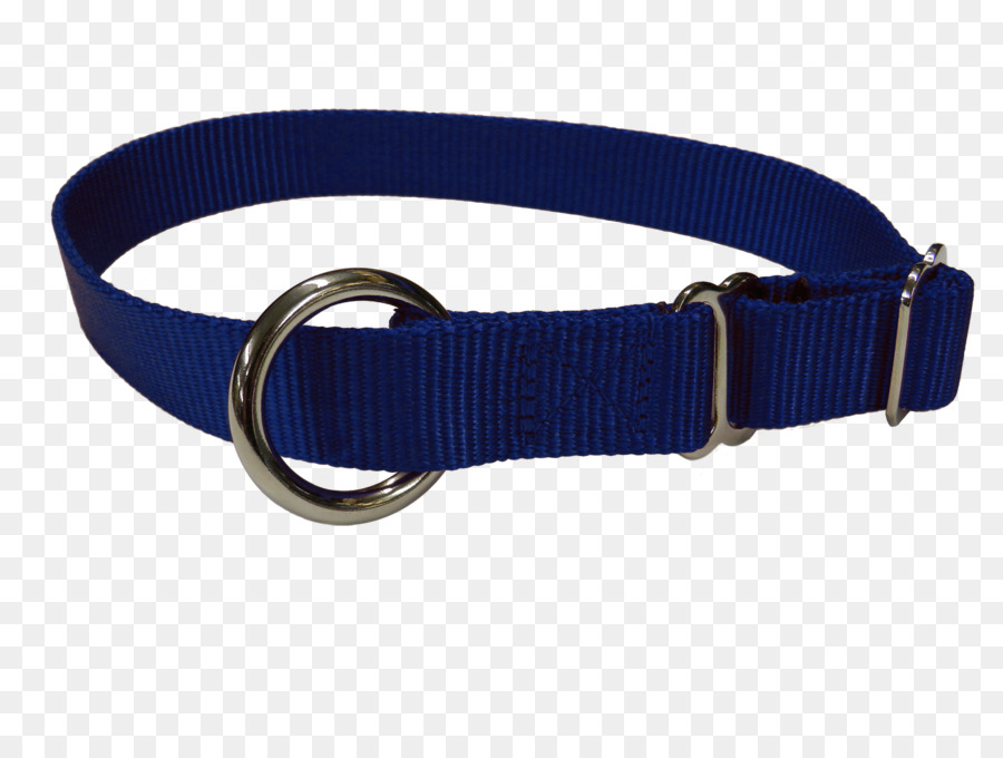 Perro，Collar De Perro PNG