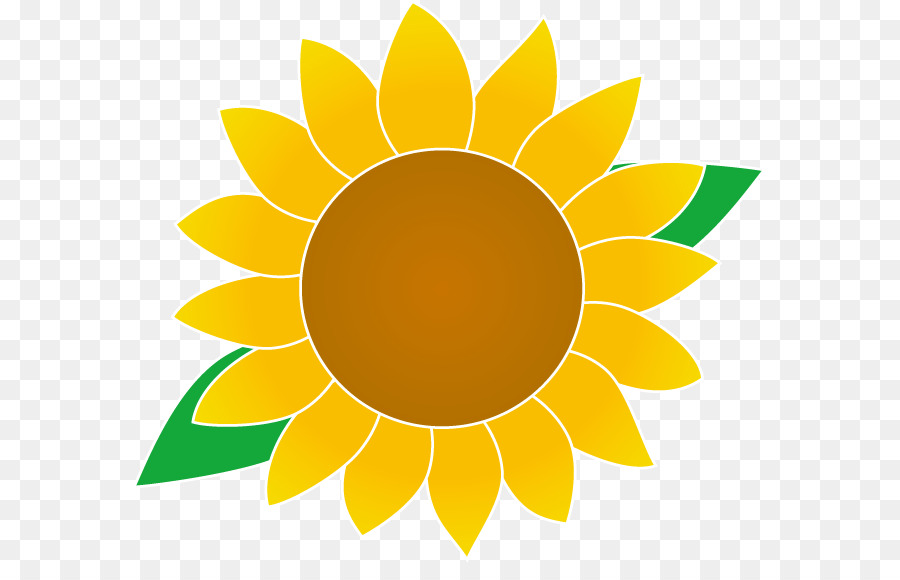 Royaltyfree，Común De Girasol PNG