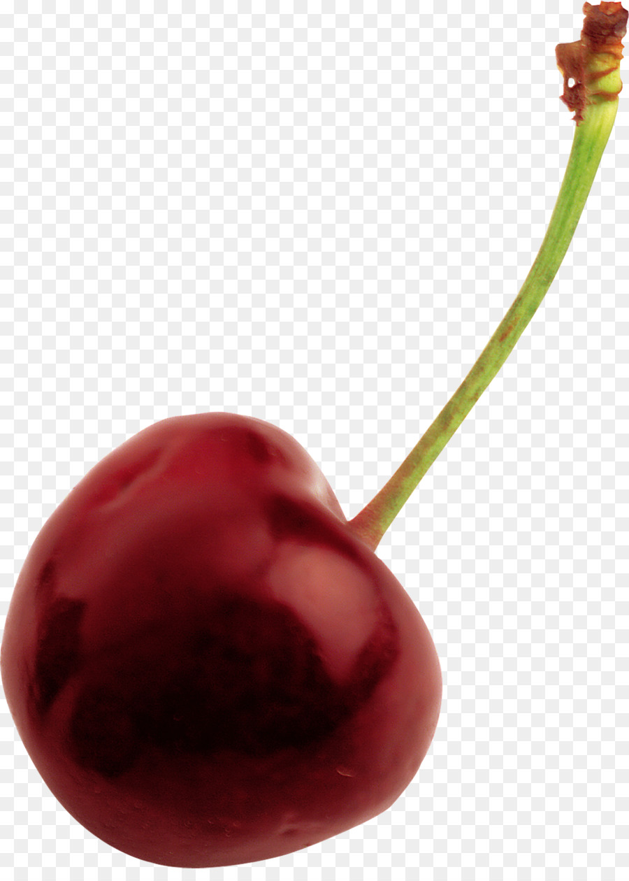 Cherry，Cerasus PNG