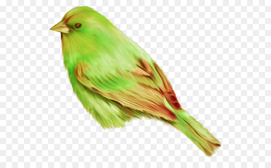 Pájaro，Formatos De Archivo De Imagen PNG