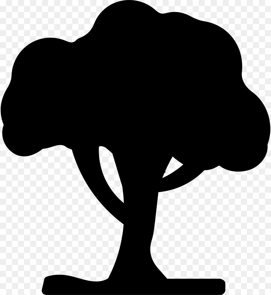 Silueta De Arbol，Planta PNG