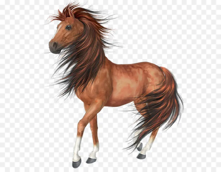 Caballo，Fondo De Escritorio PNG