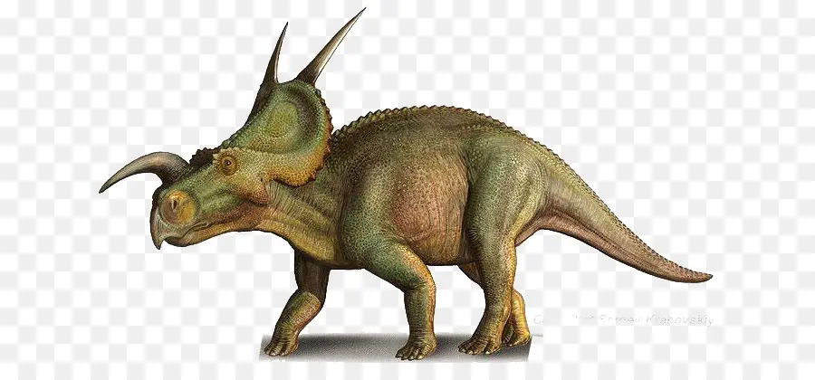 Triceratops，Prehistórico PNG