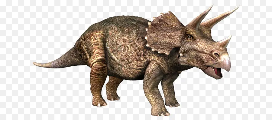 Triceratops，Pachyrhinosaurus PNG