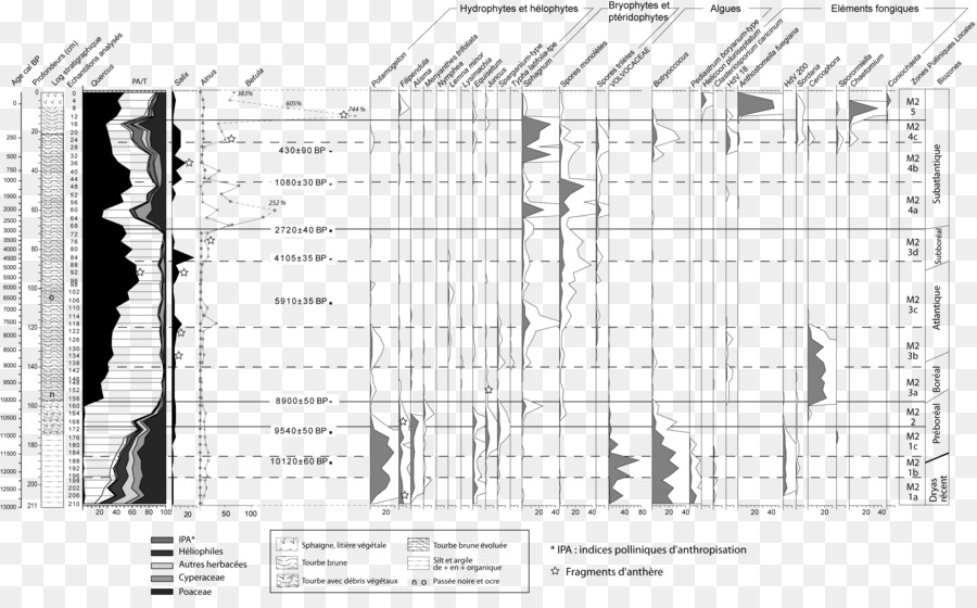 Diagrama De，Paleoecología PNG