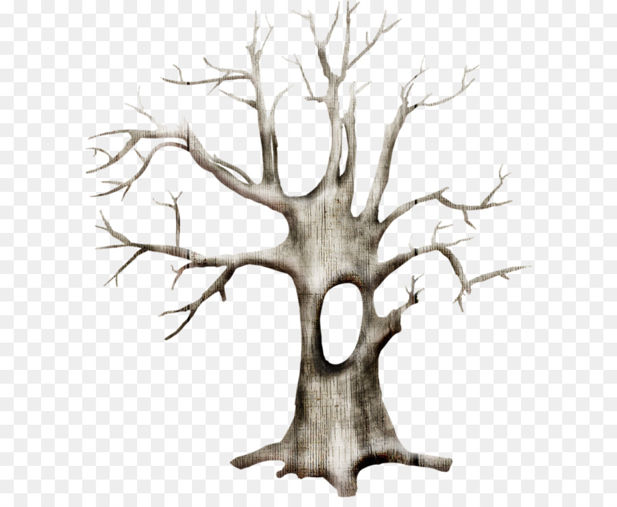 árbol，Rama PNG