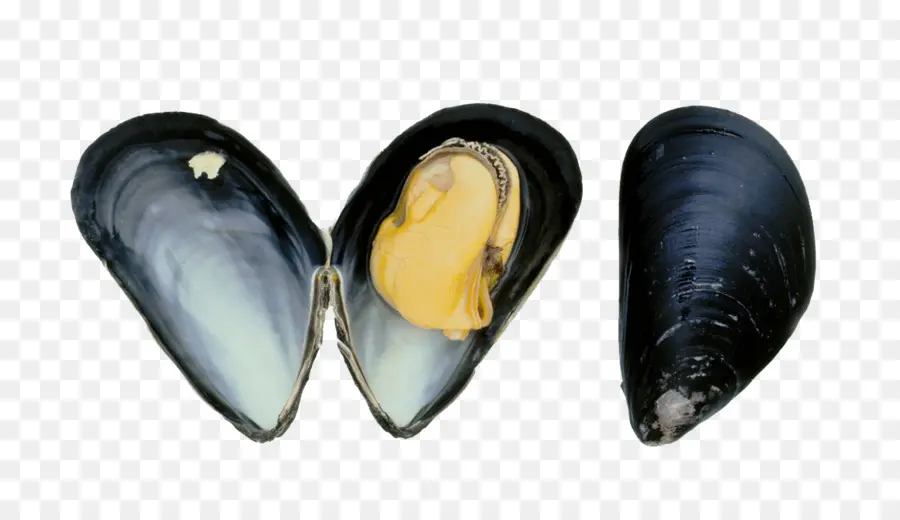 Mejillones，Mariscos PNG