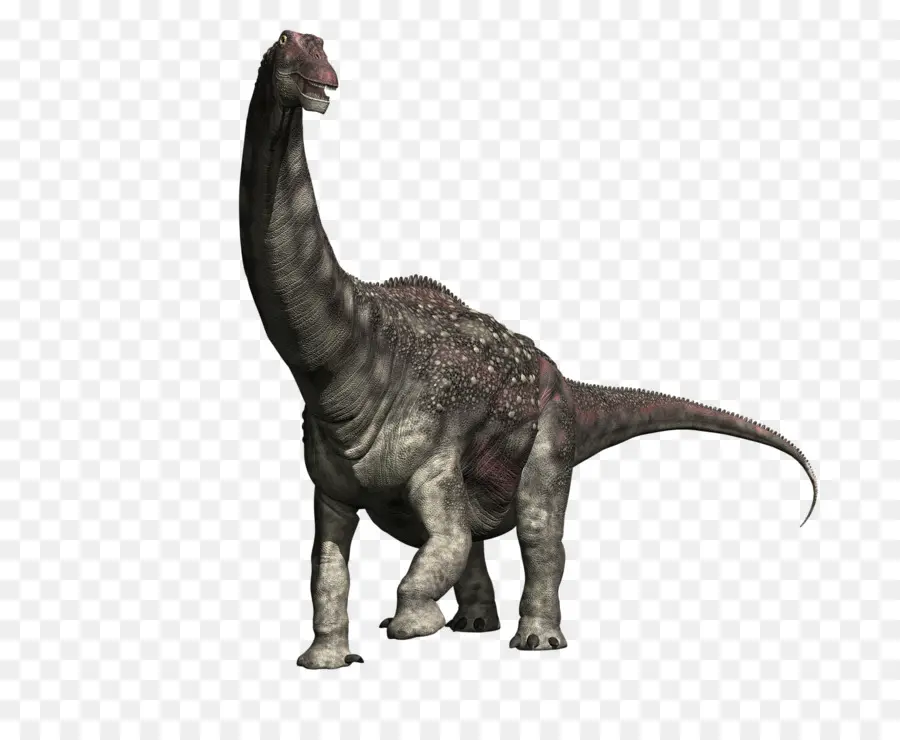 Diamantinasaurus，Dinosaurio De Tamaño PNG