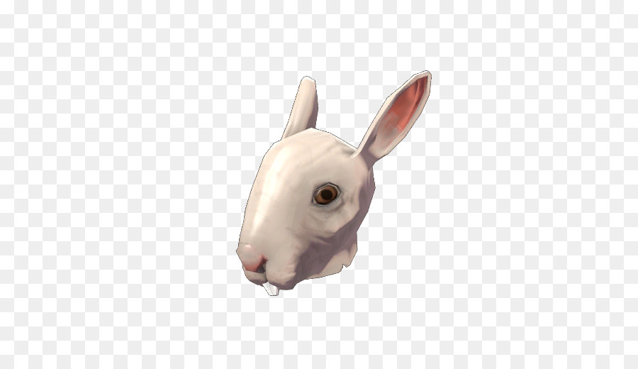 Conejo Blanco，Conejito PNG