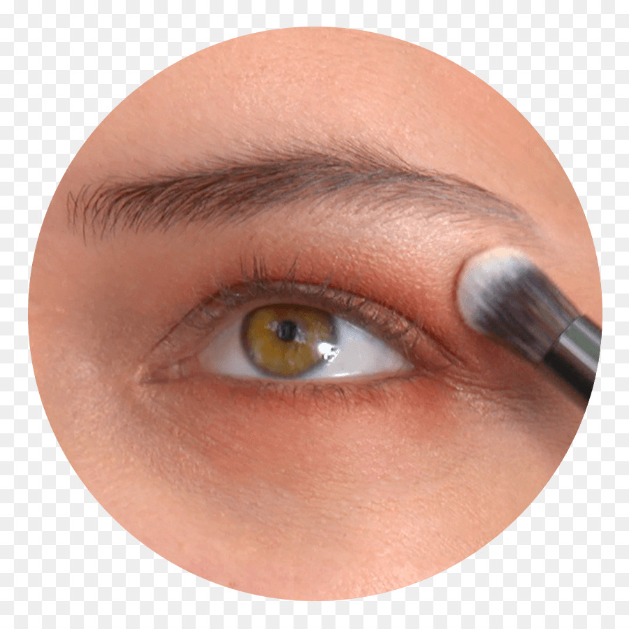 Extensiones De Pestañas Postizas，Sombra De Ojos PNG